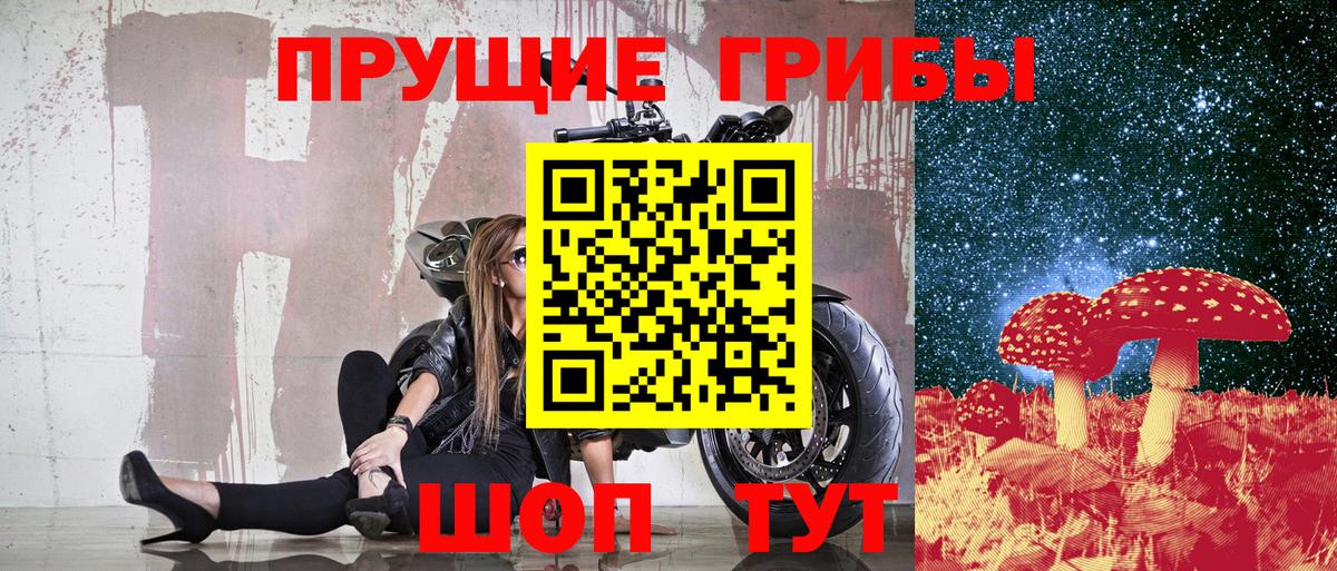 Псилоцибиновые грибы Cubensis Сибай