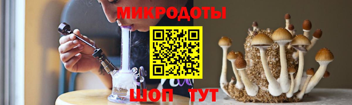 как найти   Вход с VPN  Сибай  Псилоцибиновые грибы ЛСД 